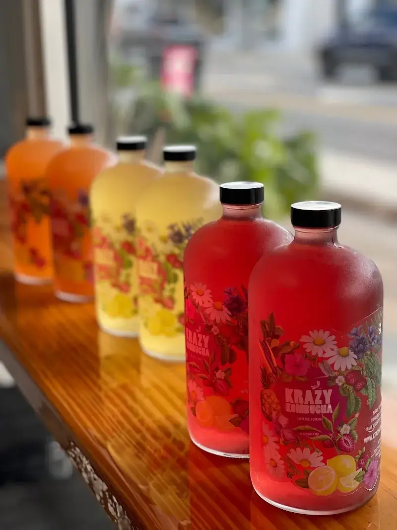Krazy Kombucha Taproom in Lakeland, FL